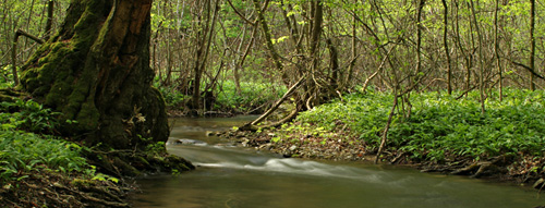 Potok Parná