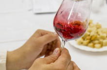 Degustácia vín Horné Orešany 2025