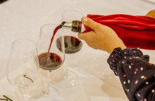 Degustácia vín Horné Orešany 2025