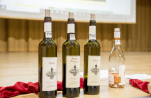 Degustácia vín Horné Orešany 2025