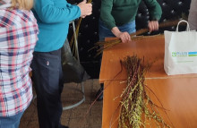 Z jarných aktivít JDS Horné Orešany