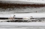 19.1.2016