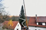 Vianočný strom z Horných Orešian