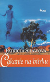 Čakanie na búrku - kniha