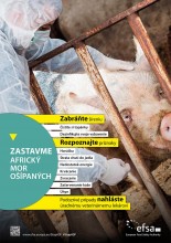 Africký mor ošípaných - zvyšovanie povedomia