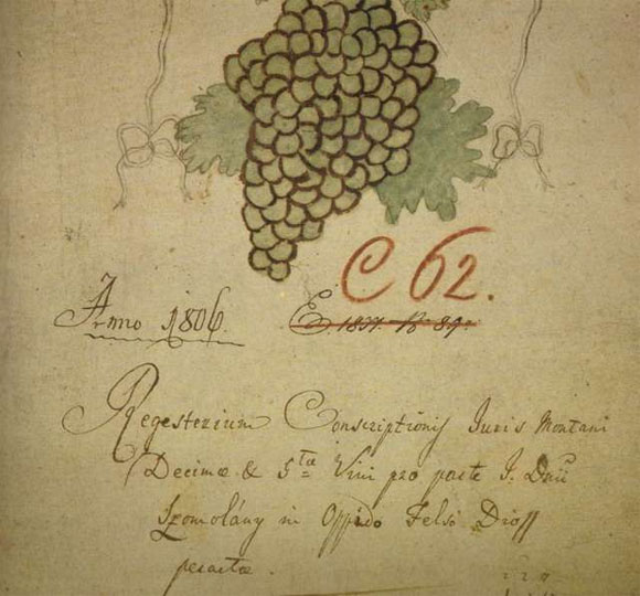 Súpis vinohradníckeho desiatku na smolenickom panstve z r.1806
